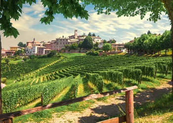 Genussreise Piemont – Trüffel, Wein & Dolce Vita
