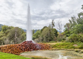 Andernach - Geysir Erlebnis
