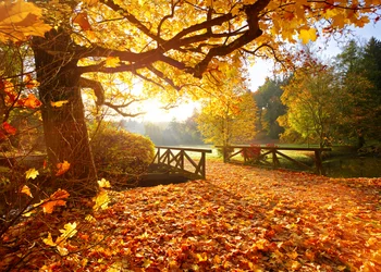 Goldener Oktober